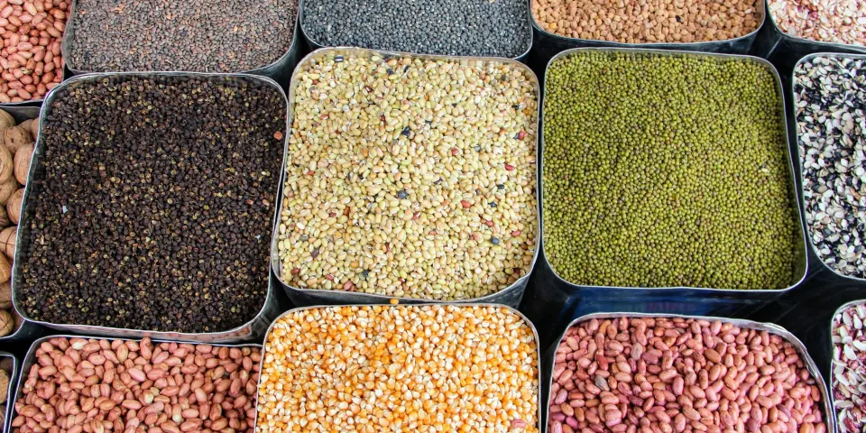 Bandejas con distintos tipos de fríjoles, lentejas y cereales
