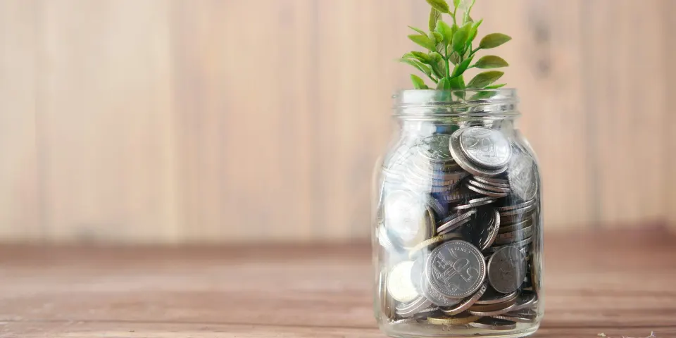 Frasco con monedas y una planta creciendo