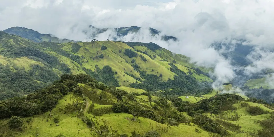 Colinas verdes del Eje Cafetero con nubes sobre las montañas