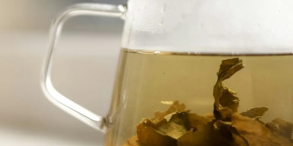 Taza de té caliente con hojas